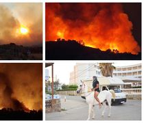 Oλονύχτια μάχη με τις φλόγες - Καίει ανεξέλεγκτη η φωτιά στην Καρδάμαινα