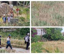 "Εντυπωσιασμένοι" οι τουρίστες από την εικόνα των αρχαιολογικών χώρων στην Κω