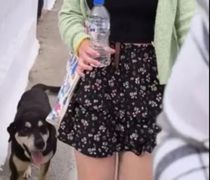 Ο Koda από την Κω: Πώς ένα αδέσποτο σκυλί βρήκε αγάπη και νέο σπίτι στη Γερμανία