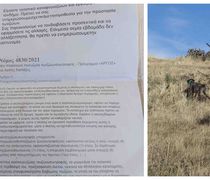 Τοπικό καταφύγιο ζώων που αναφέρει ότι συνεργάζεται με τον Δήμο Κω “απειλεί” – Έξαλλος ο Πρόεδρος του Κυνηγετικού Συλλόγου Κω Γ. Μιαούδης