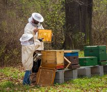 Εκλογές στον Αγροτικό και Μελισσοκομικό Συνεταιρισμό Κω – Πρόεδρος ο Γ. Παριανός