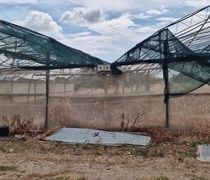 Νεκρός 74χρονος συμπολίτης μας σε τροχαίο στην Μεσαριά – Τι δηλώνει ο άνθρωπος που τον εντόπισε