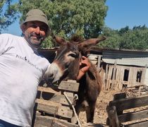 M. Mανιάς (Πρόεδρος κτηνοτρόφων Κω): Εύχομαι να μην εμπλέκονται Κώοι στο σκάνδαλο του ΟΠΕΚΕΠΕ