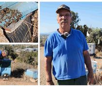 Καταστράφηκαν τα μελίσσια του συμπολίτης μας Γιάννη Τσίκνη (πιθανώς από δηλητηρίαση λόγω ψεκασμών)