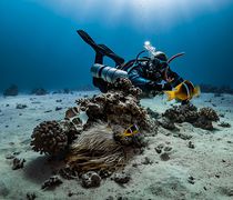 12 επενδύσεις για την ανάπτυξη του καταδυτικού τουρισμού (μία στην Κω)