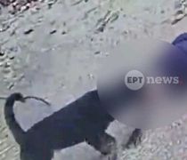 Μάχη για τη ζωή του δίνει 76χρονος από την Καλαμάτα που του επιτέθηκε το ροτβάιλέρ του