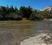 Aναγνώστης: Λύματα (ξανά) στον δρόμο στην Καρδάμαινα