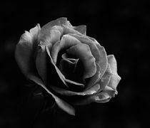 «Έφυγε» από τη ζωή η αγαπητή συμπολίτισσά μας Αικατερίνη Φραγκούλη