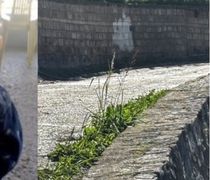 Αχαΐα: Ανατροπή με τον θάνατο του 4χρονου Ανδρέα - Ο θείος ομολόγησε ότι έπεσαν με "γουρούνα" από τη μάντρα