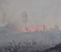 Συμβαίνει τώρα: Φωτιά στο Ψαλίδι...