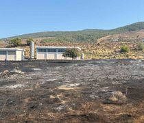 Πρόστιμο 2.320 € σε ημεδαπό για τη φωτιά στον Αγ. Νεκτάριο