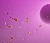 Σάλος με δωρητή σπέρματος - Μετέδωσε γονίδιο καρκίνου σε τουλάχιστον 197 παιδιά σε Ελλάδα και Ευρώπη