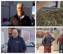 Μειωμένη κατά 30% η φετινή παραγωγή ελαιολάδου στην Κω σε σχέση με πέρυσι