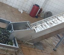 Το Σάββατο 1 Νοεμβρίου ανοίγουν τα ελαιοτριβεία στα Δωδεκάνησα