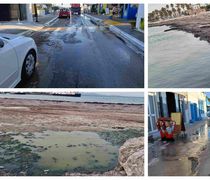 "ΜΑΣΤΙΧΑΡΙ ΔΡΑΣΙΣ": Πλύθηκαν οι δρόμοι στο Μαστιχάρι - Απογοητευτική η εικόνα της παραλίας με τα φύκια