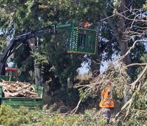 Προσωρινή διακοπή κυκλοφορίας στην Επαρχιακή Οδό Κω–Κεφάλου (Πόρτες), για εργασίες καθαρισμού και κλαδέματος
