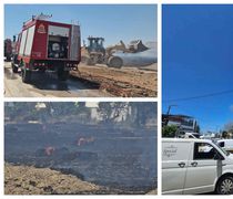 Συμβαίνει τώρα: Φωτιά στην Καρδάμαινα