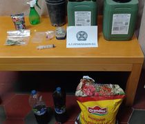 Συνελήφθησαν 2 ημεδαποί για κατοχή και καλλιέργεια κάνναβης στην Κω