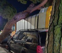 Πτώση δέντρου σε απορριμματοφόρο στην οδό Αρτεμησίας στην Κω