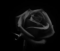 “Έφυγε” από τη ζωή ο αγαπητός συμπολίτης μας Τάσος Μαραγκάκης