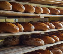 Λάρισα: Νεκρή 49χρονη γυναίκα σε φούρνο στο Δαμάσι – Εγκλωβίστηκε σε μηχάνημα