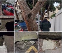 Ανησυχία πολιτών για επικίνδυνη κλίση δέντρου και καθίζηση οδοστρώματος στην οδό Ελ. Βενιζέλου