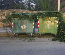 Αναγνώστρια: Κλάδεψε τα δέντρα του και έριξε τα κλαδιά στους κάδους