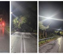 Πτώση δέντρου σε καλώδια της ΔΕΗ στο δρόμο προς Μαστιχάρι - Αντιμάχεια 