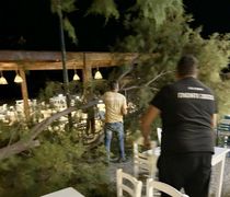 Αγιο είχαν επισκέπτες και θαμώνες εστιατορίου στο Μαστιχάρι - Έσπασε μεγάλος κλώνος δέντρου δίπλα τους