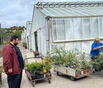 2.700 φυτά από το Περιφερειακό Φυτώριο αλλάζουν το περιβάλλον την ποιότητα ζωής στα νησιά  