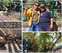 Παρέμβαση του Δήμου Κω στην Πλατεία Πλατάνου
