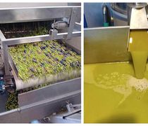 Να δούμε ποιος θα (την) βγάλει λάδι φέτος: Υποχρεωτική η Δήλωση Συγκομιδής & η εγγραφή στο Ελαιοκομικό Μητρώο για ιδιοκτήτες ελαιώνων με 21 (και πάνω) δέντρα