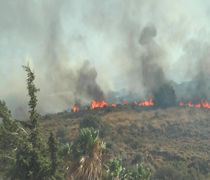 Πυρκαγιές: Πώς τα σκουπίδια μπορούν να γίνουν η σπίθα μιας μεγάλης καταστροφής στα νησιά