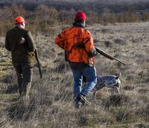 Κυνηγετικός Σ/γος Κω για το κυνήγι στη Νίσυρο: Η θήρα ρυθμίζεται από το Υπ. Περιβάλλοντος και όχι από το Δημ. Σ/λιο 