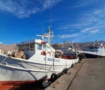 1η Οκτωβρίου: Οι μηχανότρατες της Καλύμνου δεν σήκωσαν άγκυρες λόγω απεργίας των ψαράδων 