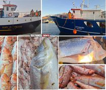 Με καθυστέρηση 10 ημερών σήκωσαν άγκυρες οι “μηχανότρατες” της Καλύμνου – Γέμισαν με φρέσκα ψάρια οι πάγκοι των ιχθυοπωλείων