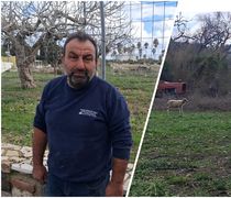 Μ. Μανιάς (Πρόεδρος Κτηνοτρόφων Κω): Δεν πήραμε αυτά που θέλαμε – Δεν καταλαβαίνει η Κυβέρνηση τι περνάμε…