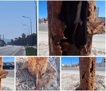 Επικίνδυνες και ετοιμόρροπες κολώνες φωτισμού στην περιοχή "Φάρος" στη Λάμπη