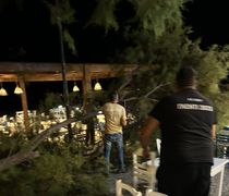 Αγιο είχαν επισκέπτες και θαμώνες εστιατορίου στο Μαστιχάρι - Έσπασε μεγάλος κλώνος λόγω των ανέμων