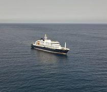 Χανταϊός: Ο παγκόσμιος συναγερμός, οι μύθοι και οι αλήθειες