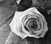 "Έφυγε" από τη ζωή ο αγαπητός συμπολίτης μας Nίκος Τρακόσας (60 ετών)