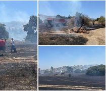 Mεγάλη κινητοποίηση για φωτιά στο Ψαλίδι - Τέθηκε άμεσα υπό έλεγχο χάρη στις συντονισμένες ενέργειες
