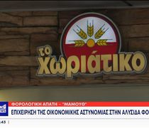 Χωριάτικο: Συνελήφθη ο ιδιοκτήτης αλυσίδας φούρνων για απάτη που αγγίζει τα 100 εκατ. ευρώ