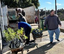Πάνω από 2.000 φυτά σε δήμους, σχολεία και κοινότητες των νησιών από το Περιφερειακό Φυτώριο Νοτίου Αιγαίου