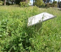 173.000 ευρώ για εργασίες καθαρισμού και αποψίλωσης αρχαιολογικών χώρων σε Ρόδο, Κω, Κάλυμνο και Σύμη