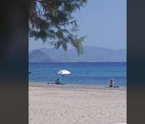 Μαγευτικό θέαμα σε παραλία της Κω – 4 δελφίνια χάρισαν μοναδικές στιγμές στους λουόμενους 