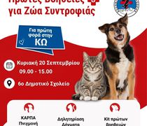 Σεμινάριο Πρώτων Βοηθειών για Ζώα συντροφιάς στην Κω!