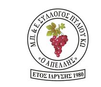 To νέο Δ.Σ. του "Απελλή" - DREAM • LIVE • CREATE 