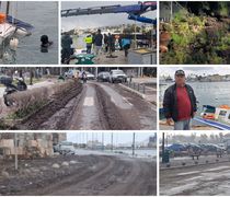 Νύχτα δοκιμασίας για την Κω από την κακοκαιρία «Erminio» (πτώσεις δέντρων, βυθίστηκε καΐκι κ.α.)