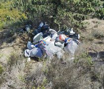 Μελισσοκομικός Συνεταιρισμός Κω: Η απόρριψη σκουπιδιών και μπαζών στη φύση αποτελεί απαράδεκτη πράξη 